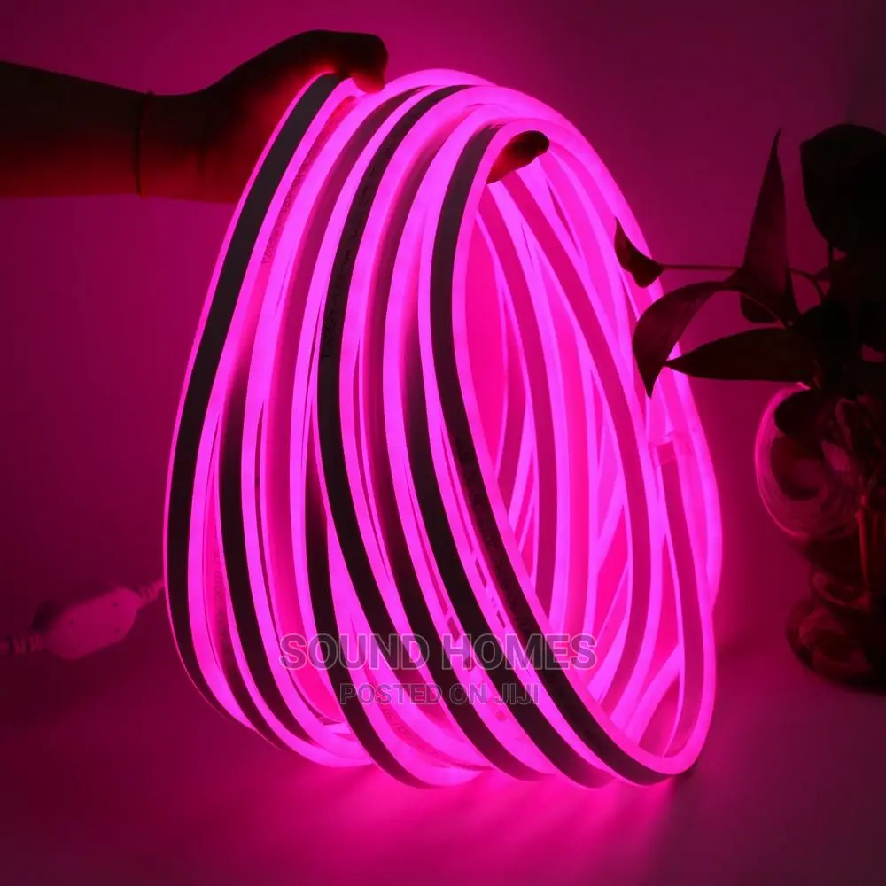 Pink Neon Rope Lights