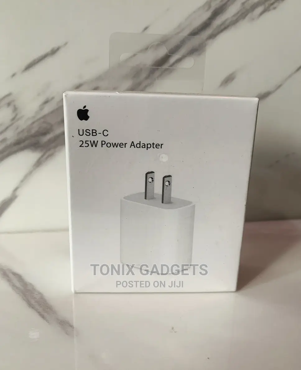 2 Pin iPhone Charger Adapter
