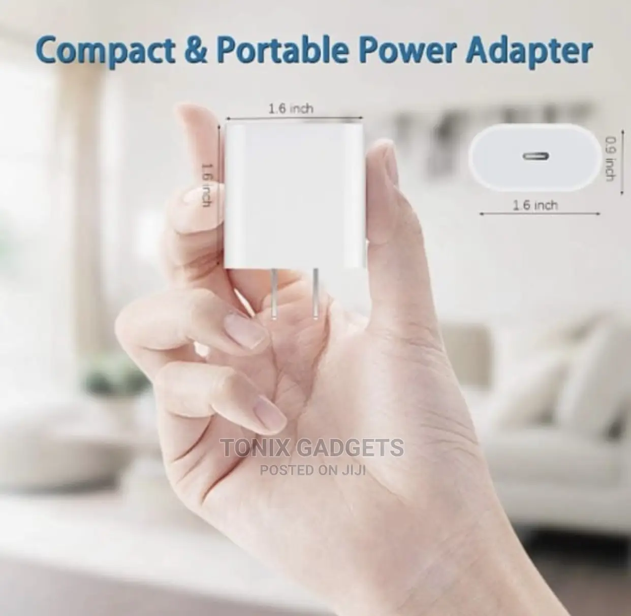 2 Pin iPhone Charger Adapter