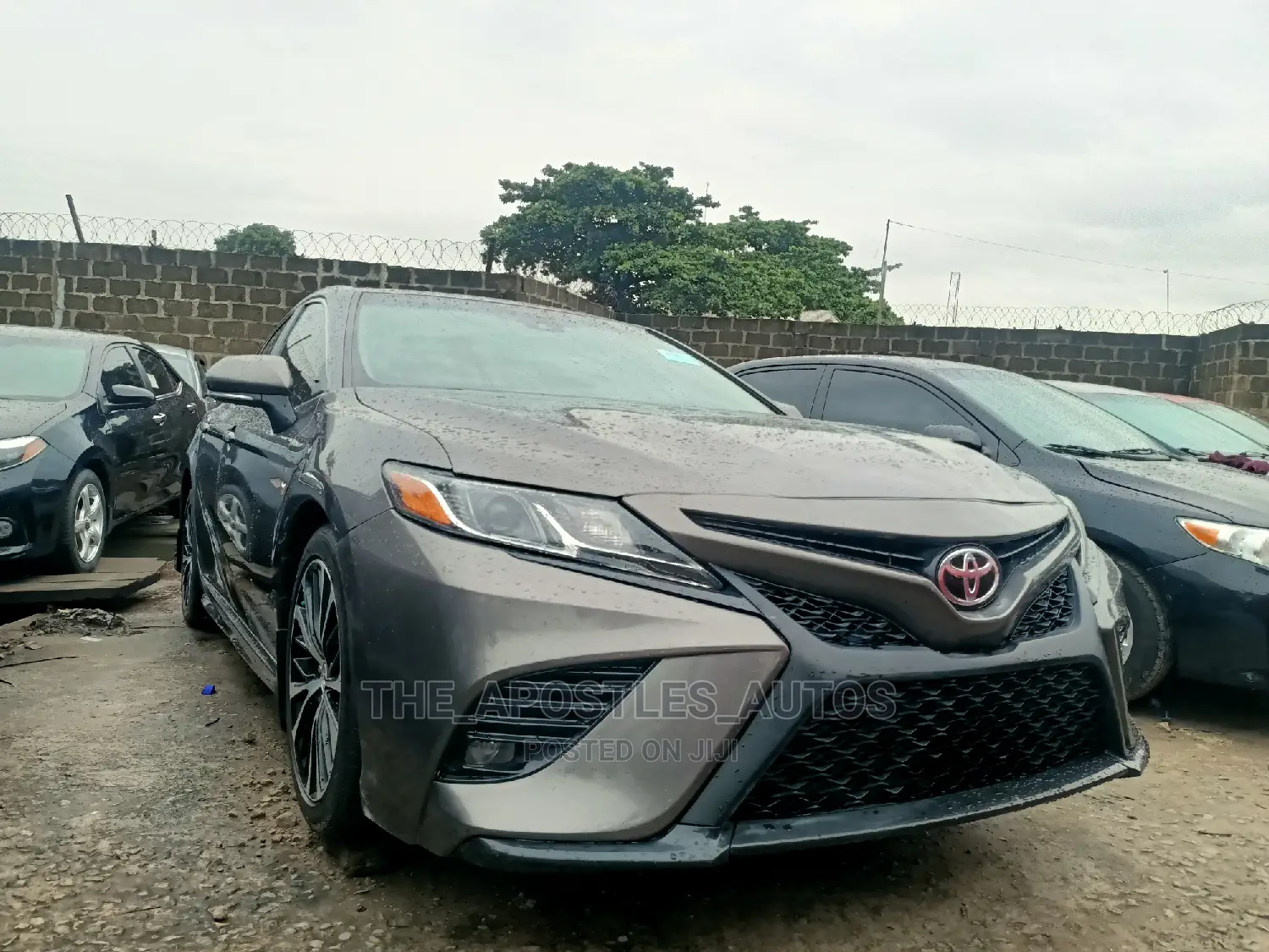 Toyota Camry SE (2.5L 4cyl 8A) 2019 Gray