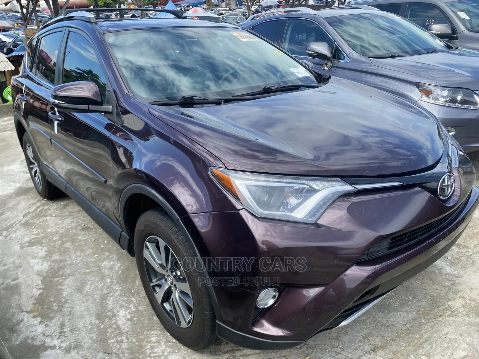 Toyota RAV4 XLE AWD (2.5L 4cyl 6A) 2016 Purple