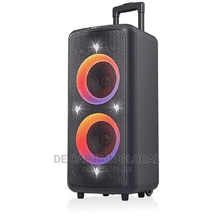 F D PA300 100 Watt Wireless Bluetooth Party Speaker