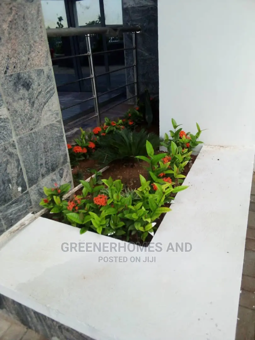 Outdoor Plants