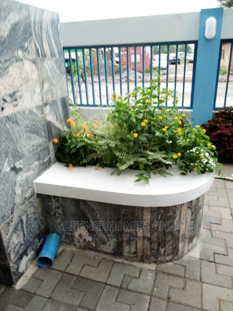Outdoor Plants