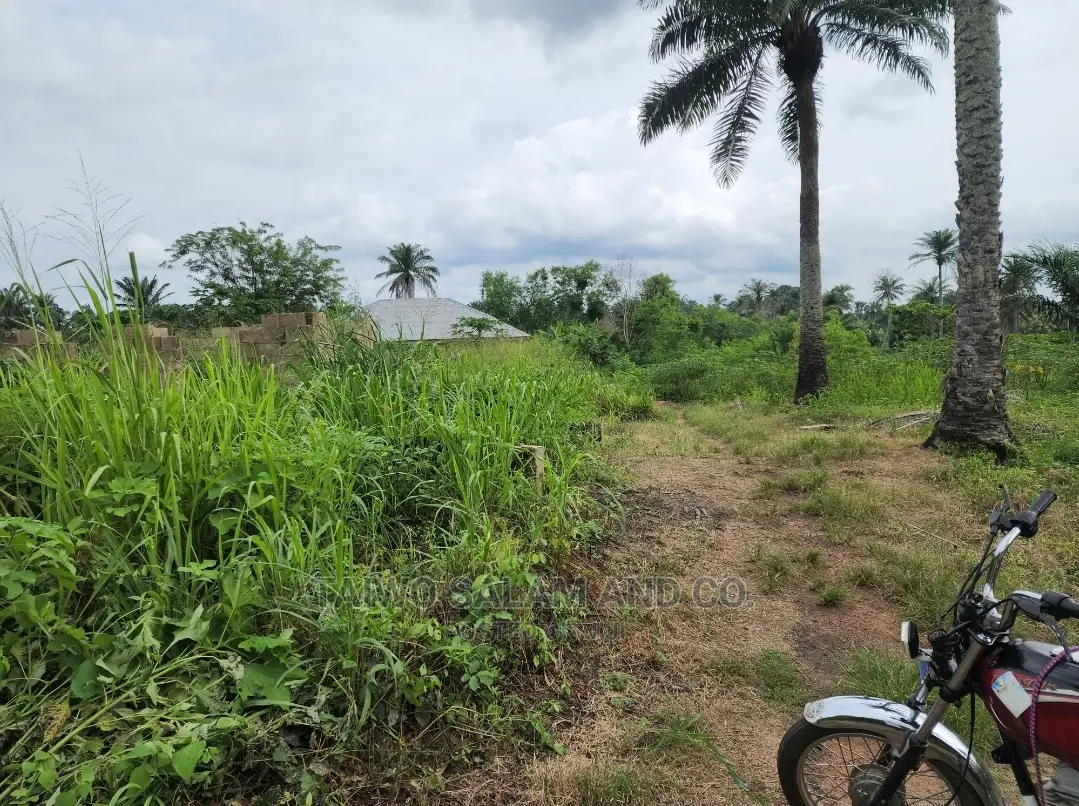 Layout Plot of Land at Ijaye Along Moniya Ibadan