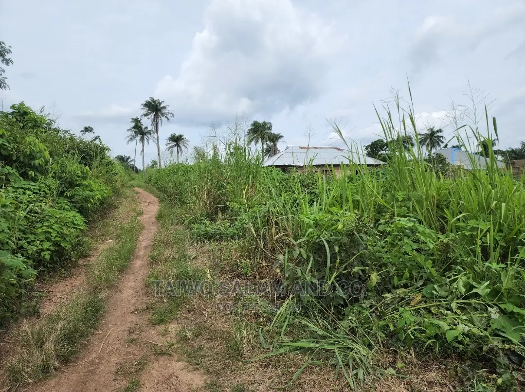 Layout Plot of Land at Ijaye Along Moniya Ibadan