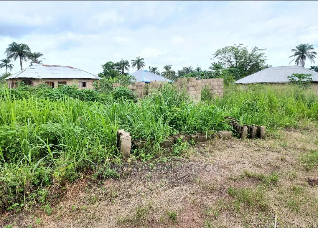Layout Plot of Land at Ijaye Along Moniya Ibadan