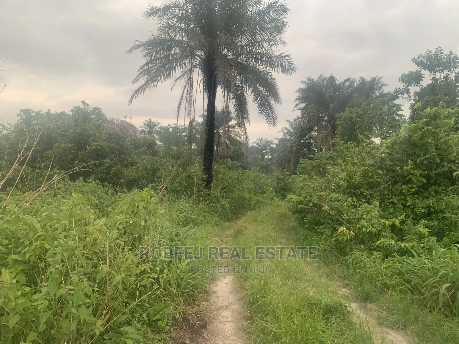 12 Plots of Land in a Dream Location Packed With Potentials
