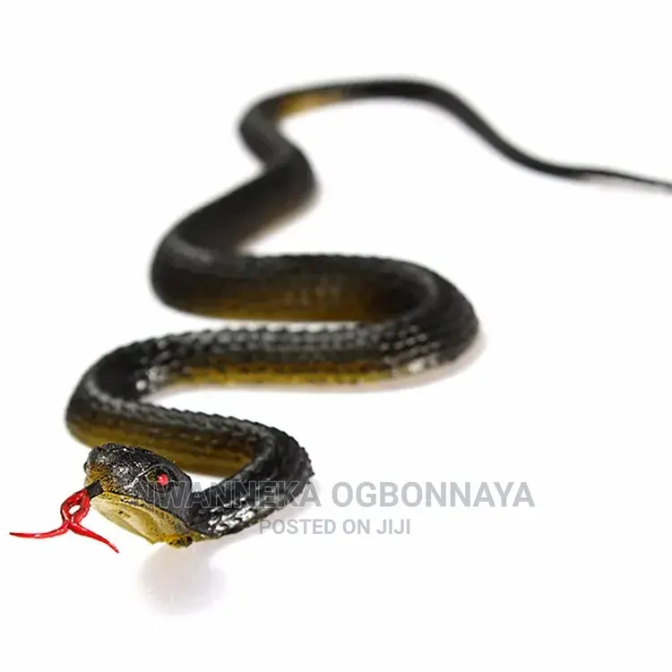 Rubber Snake for Prank Videos