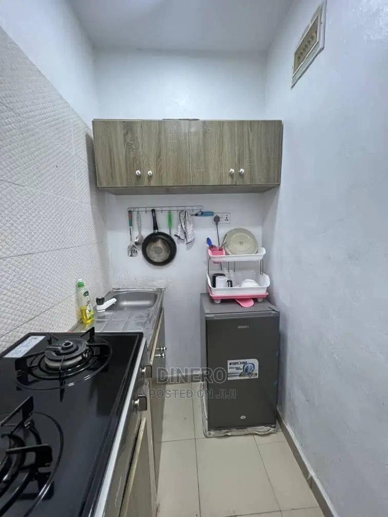 Dinero Topaz - Studio Apartment Surulere