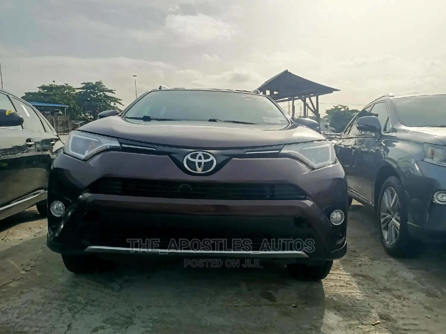 Toyota RAV4 XLE AWD (2.5L 4cyl 6A) 2016 Brown