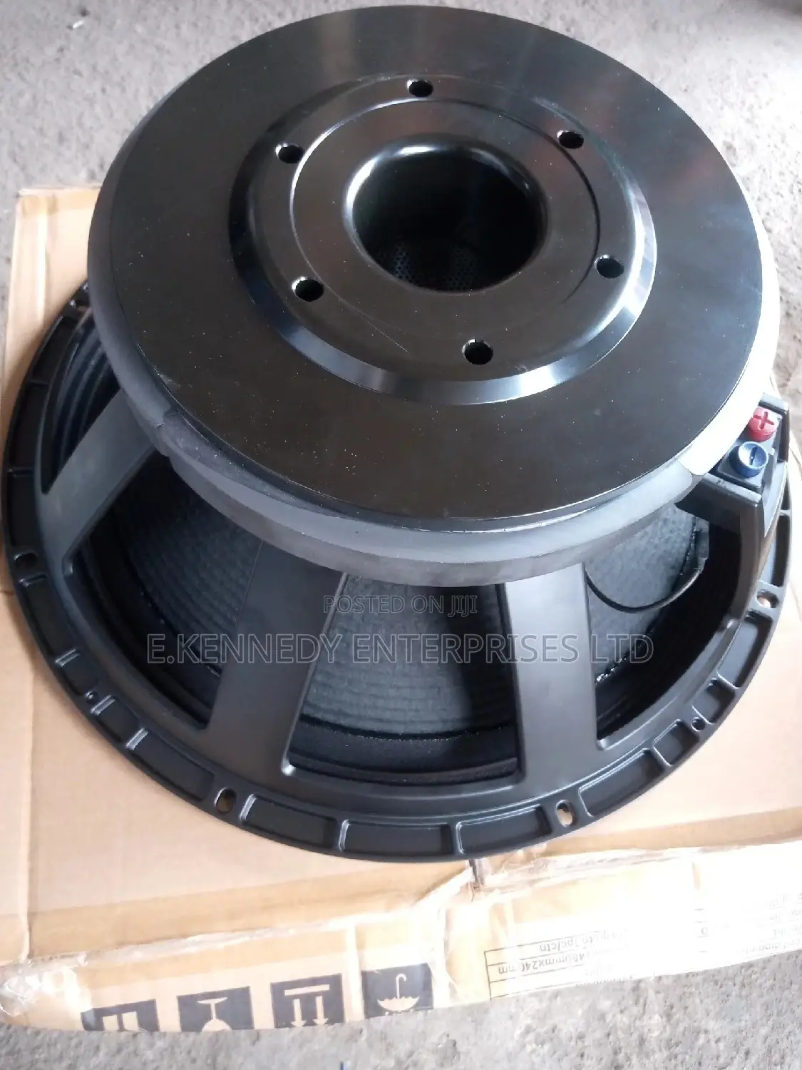 (125/5incoil) Big Magnet 18 Inches Stock Naked Speaker