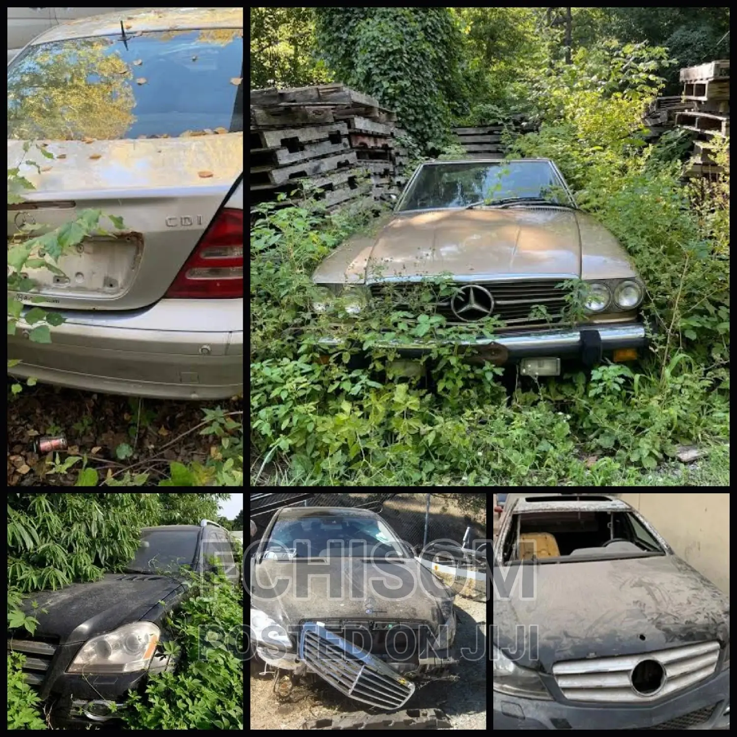 Buyer of Abandoned Mercedes Benz Cars