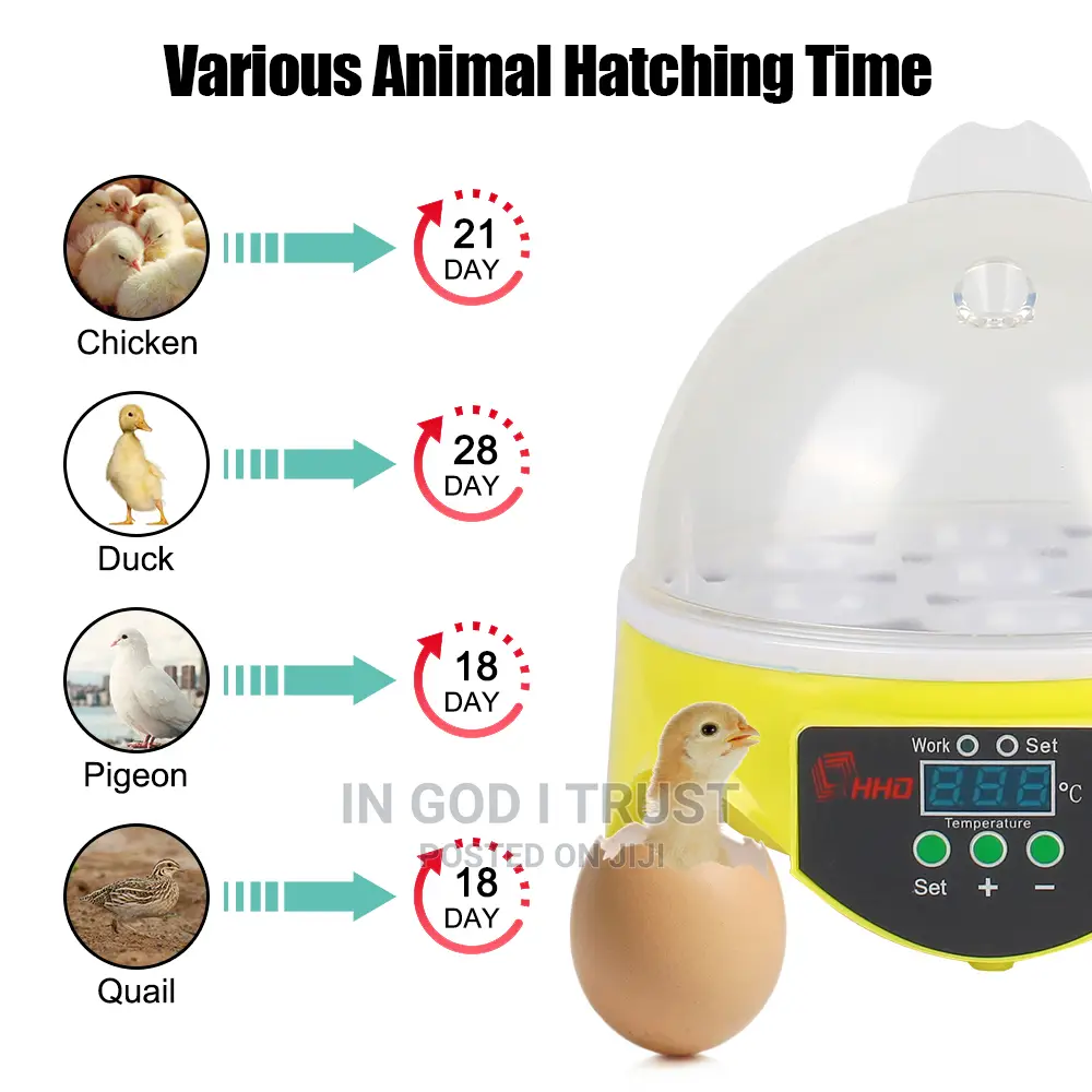 Adjustable Digital Temperature 7 Egg Poultry Incubator