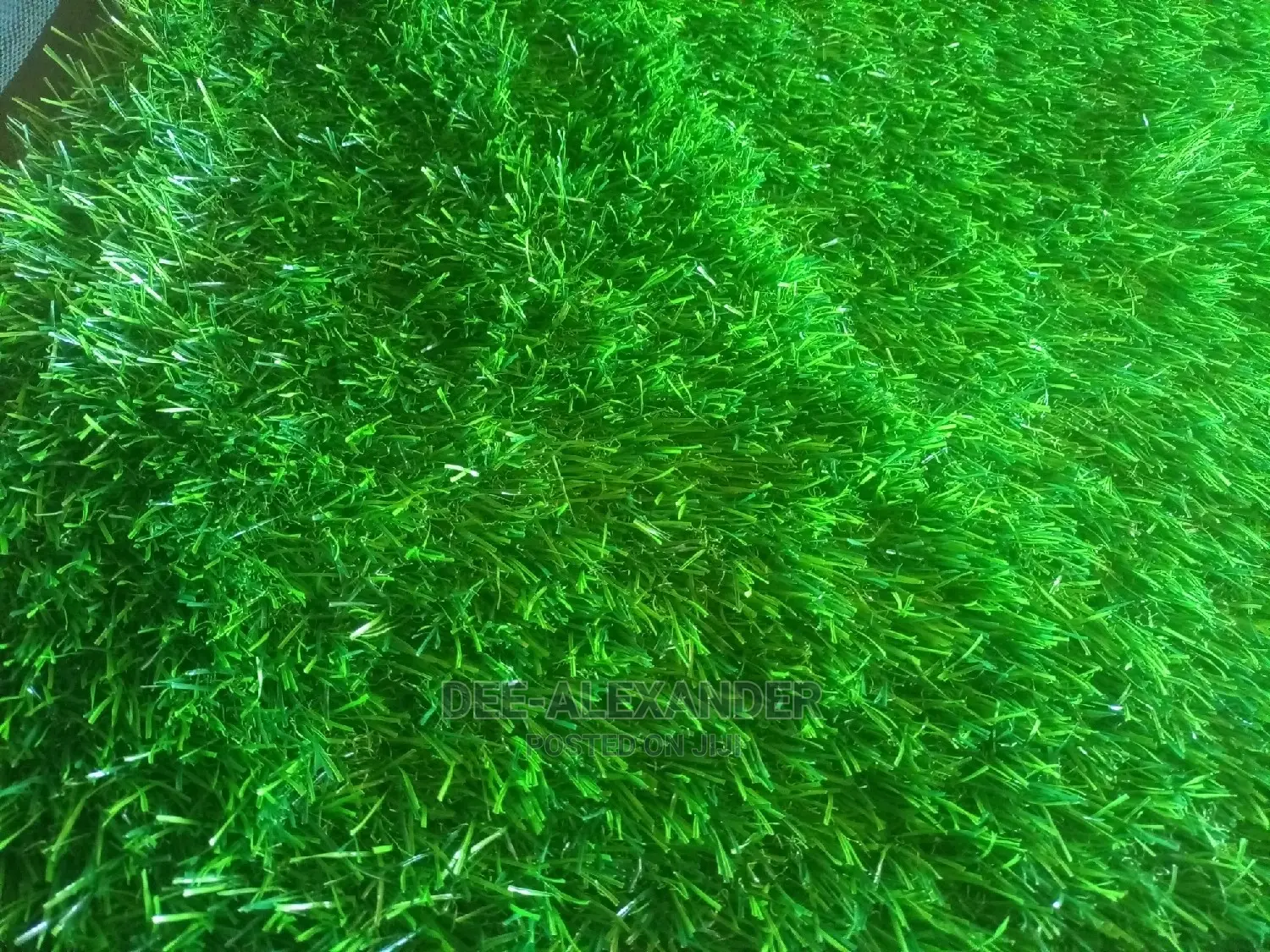 Artificial Turf Grass