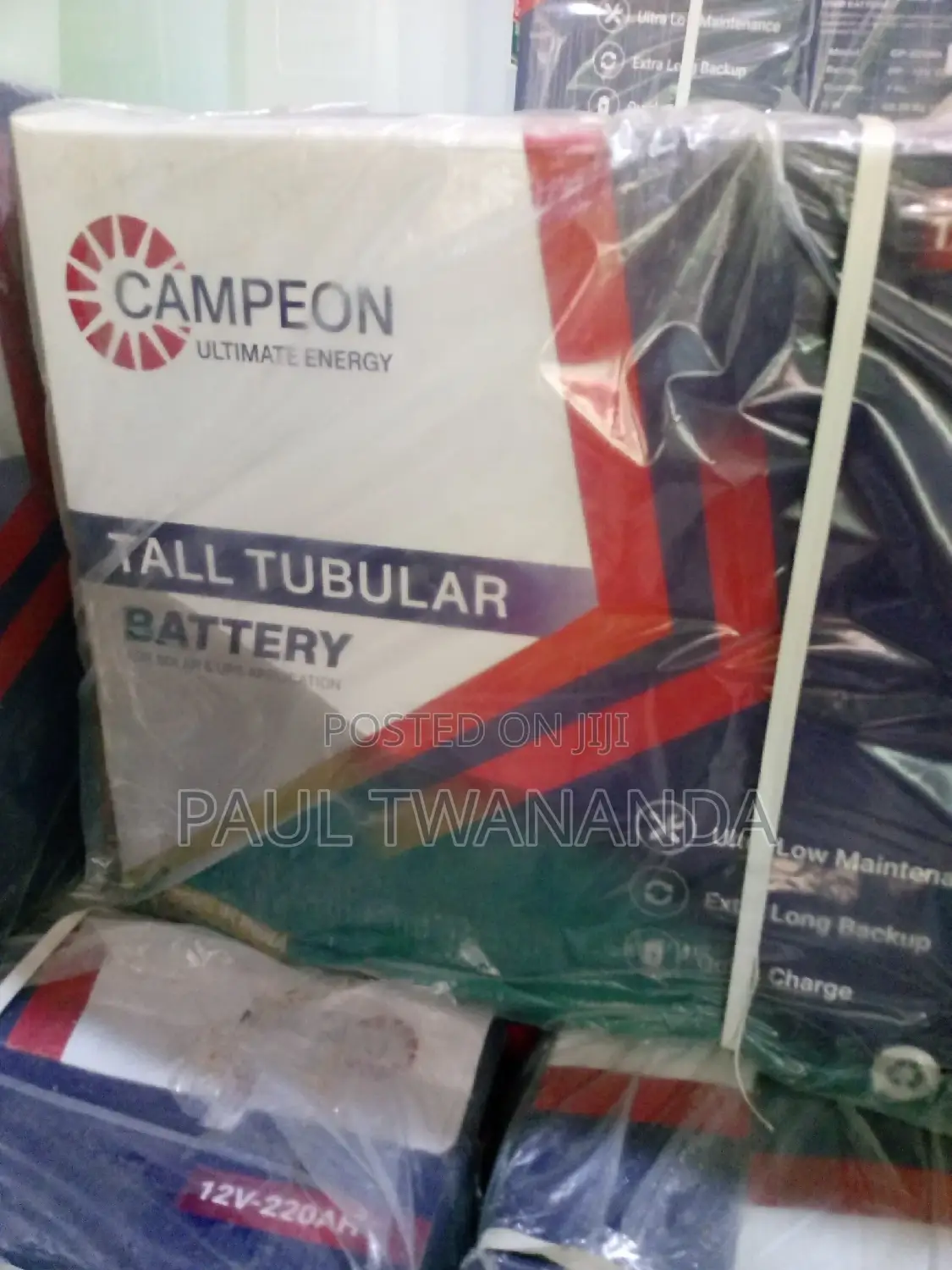 220ah Campeon Tubular Battery