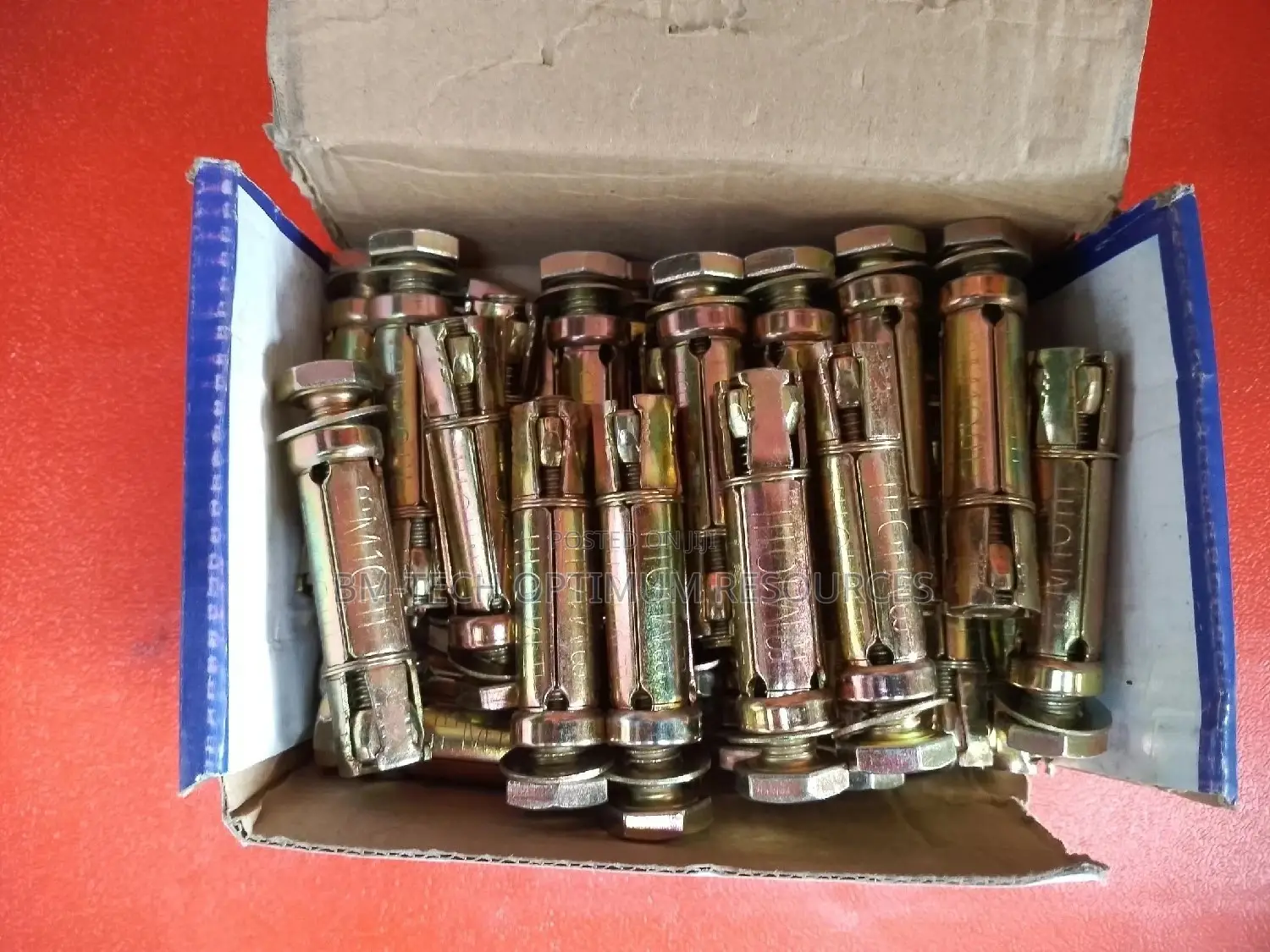 Expansion Bolt M10