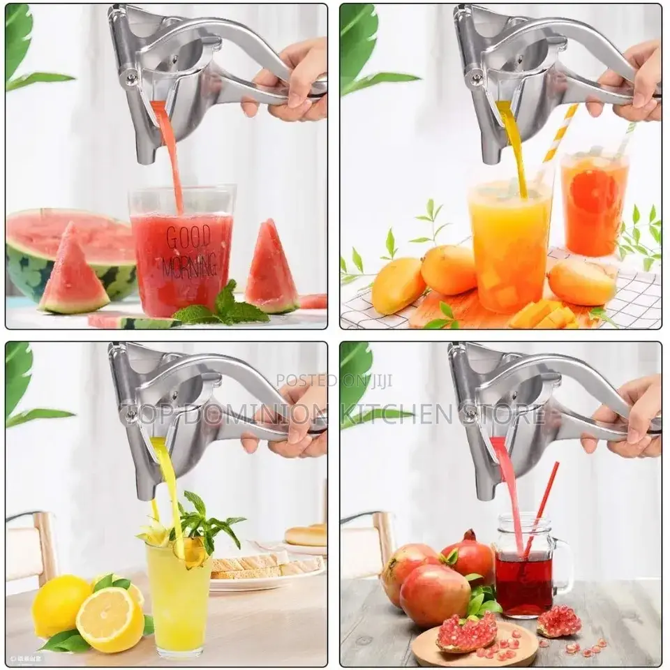 Manual Fruit Press