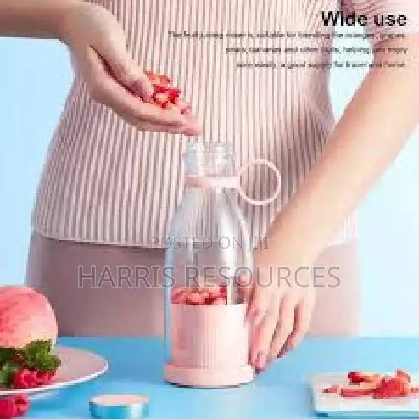Rechargeable Fruit Blender
