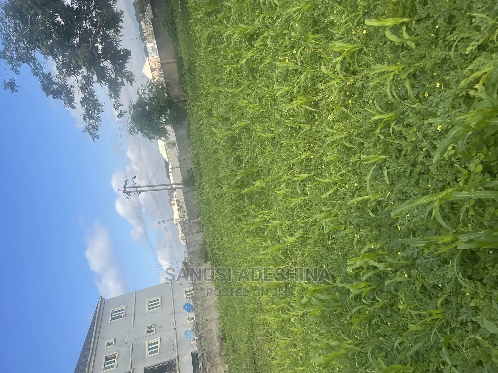 A Very Good Plot Directly on the Dutse Express at Abuja