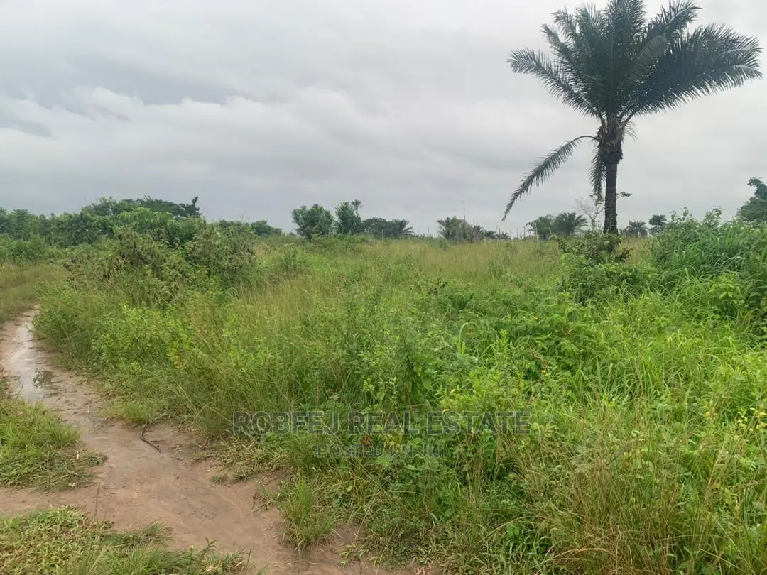 Your Dream Property Awaits You