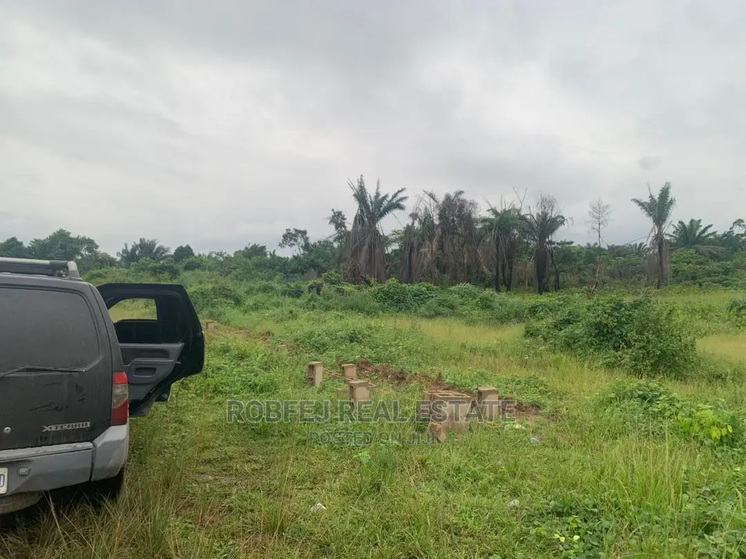 Your Dream Property Awaits You