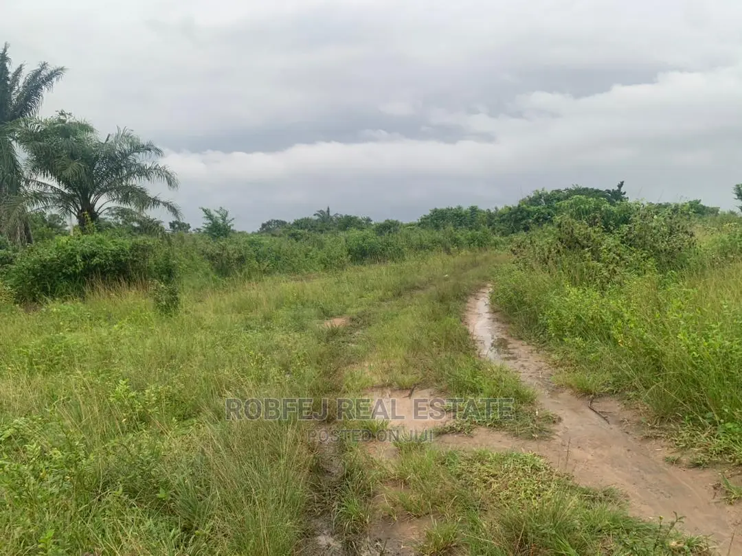 Your Dream Property Awaits You