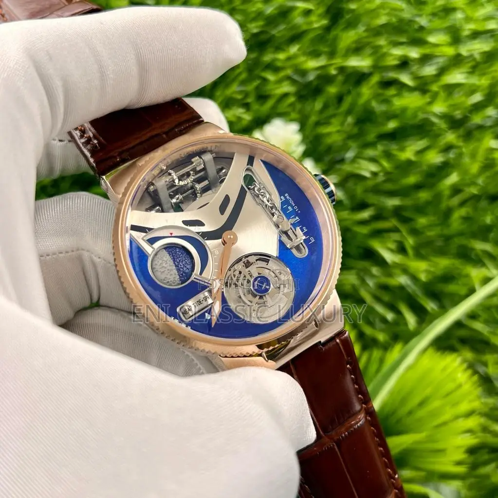 Luxury Mechanical Wristwatch for Men