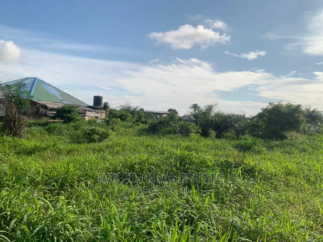The Possibilities Are Endless 20 Plots of Land