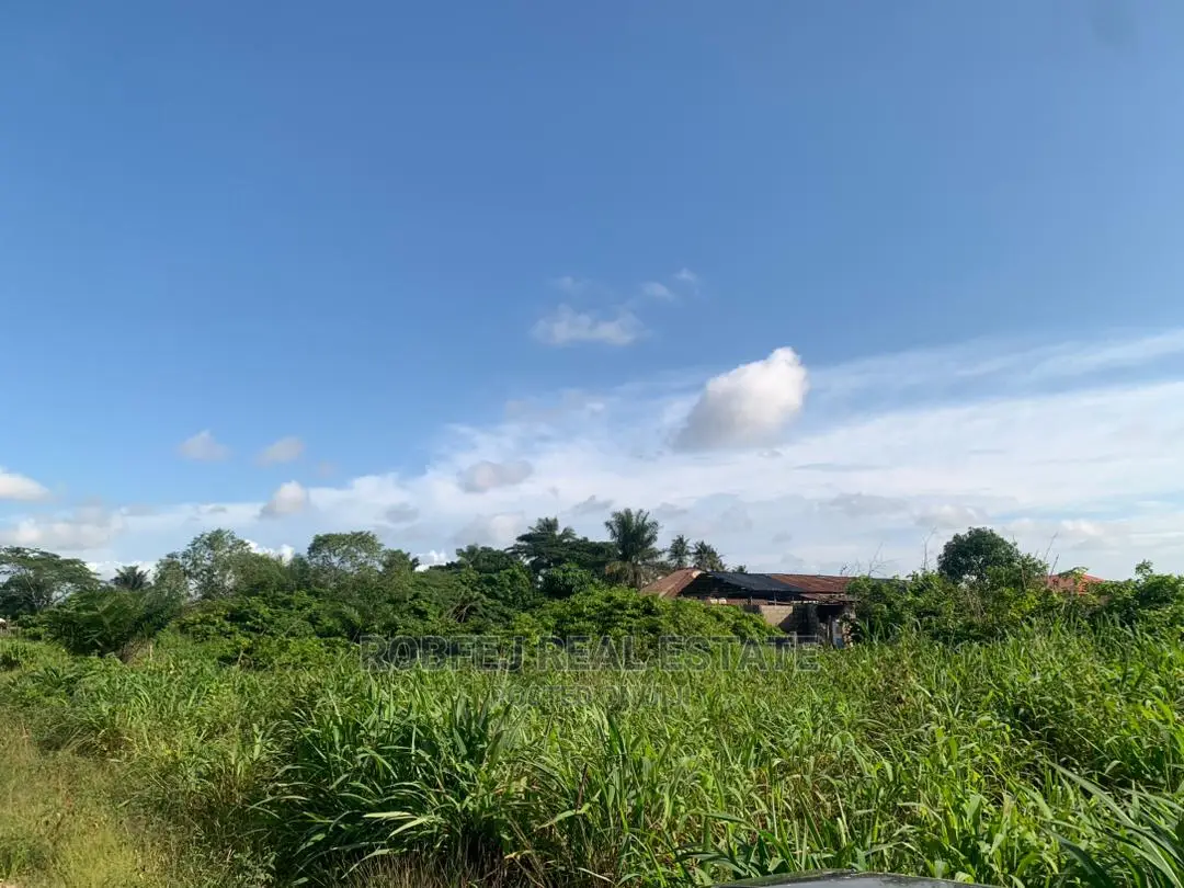 The Possibilities Are Endless 20 Plots of Land