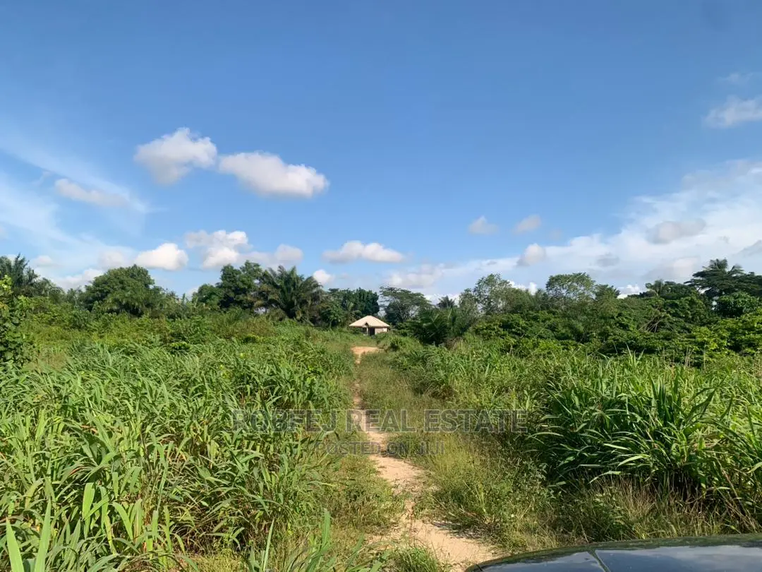The Possibilities Are Endless 20 Plots of Land