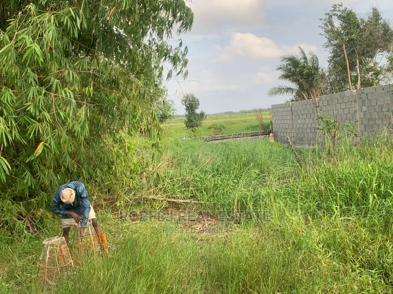 Discover Paradise at Arapagi Lagoon Front
