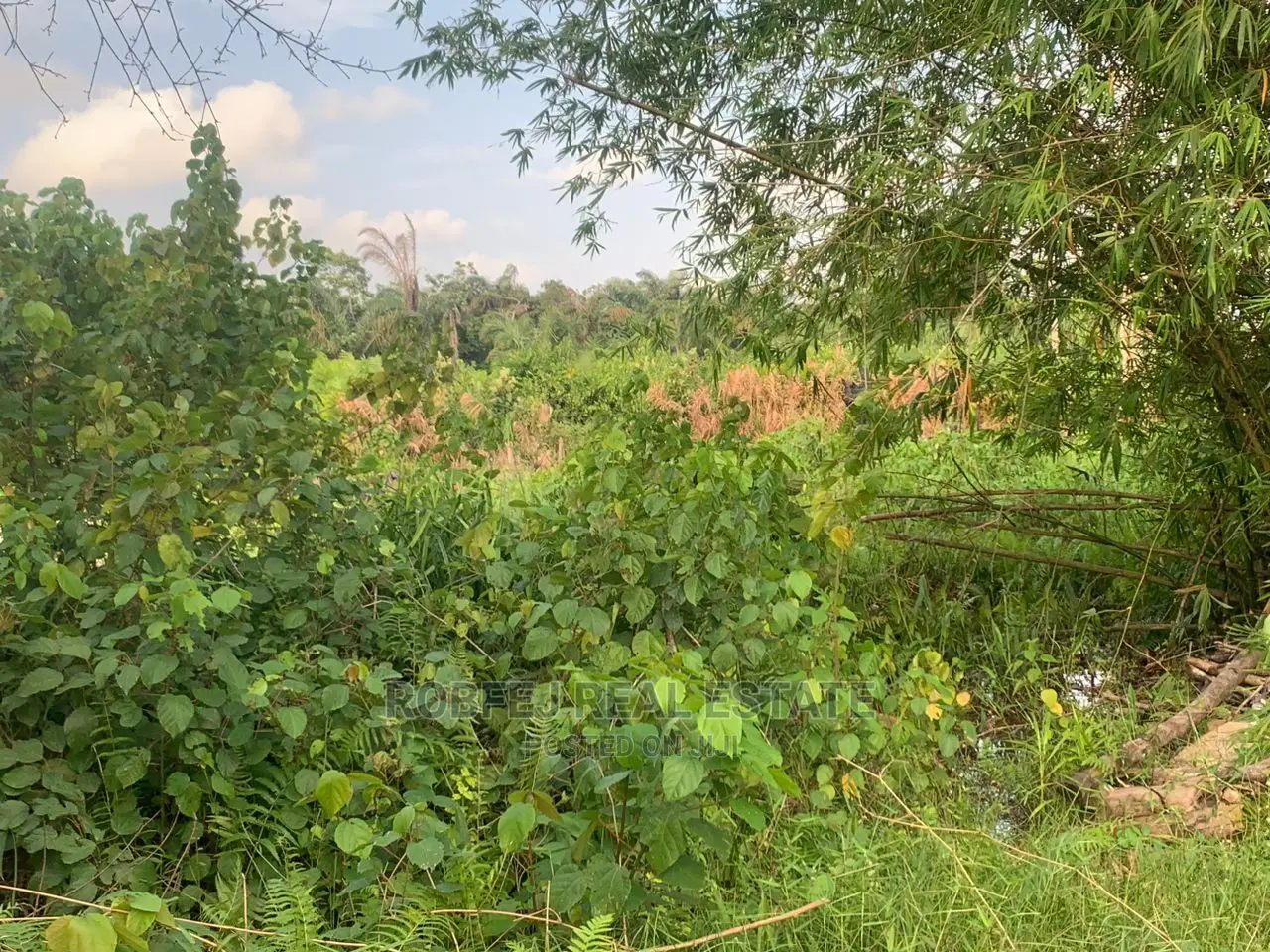 Discover Paradise at Arapagi Lagoon Front