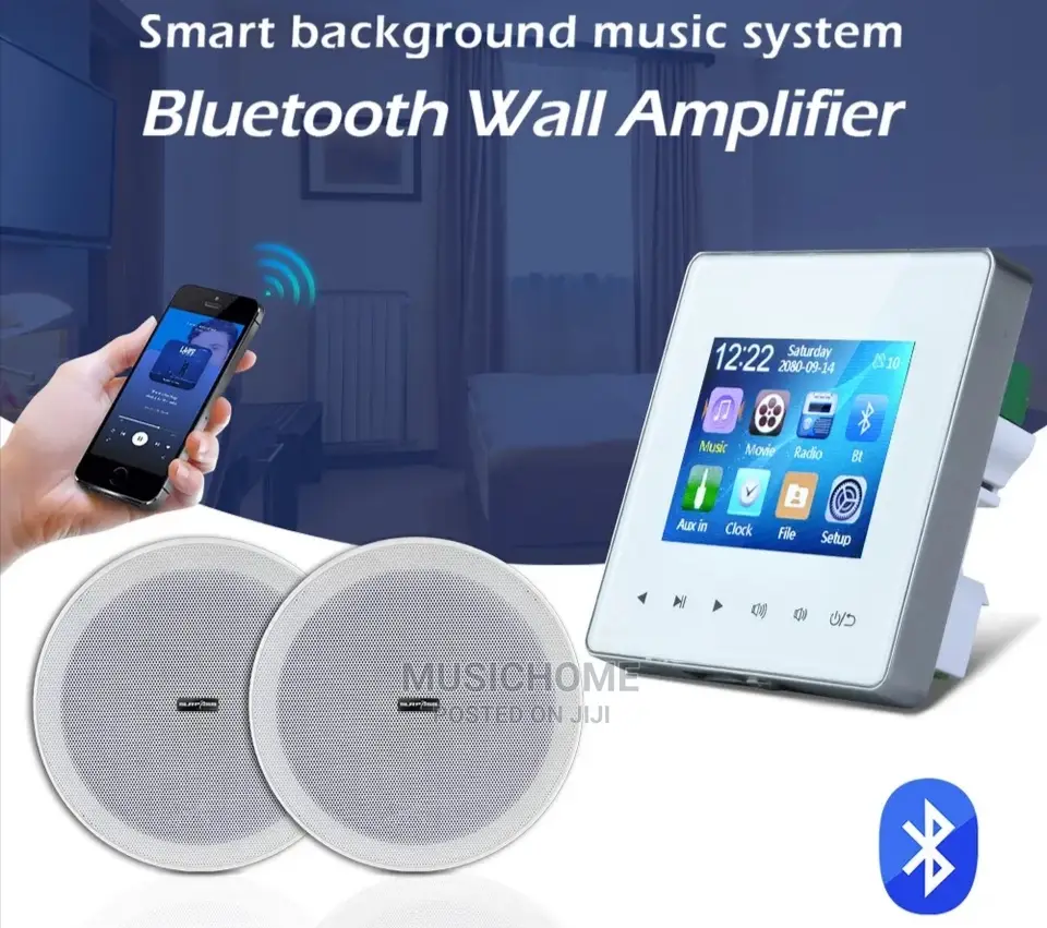 Inwall Bluetooth Amp With Remote, USB and 2 Speakers