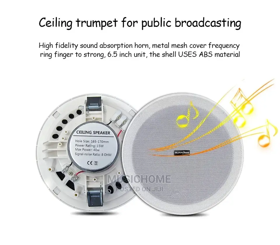 Inwall Bluetooth Amp With Remote, USB and 2 Speakers
