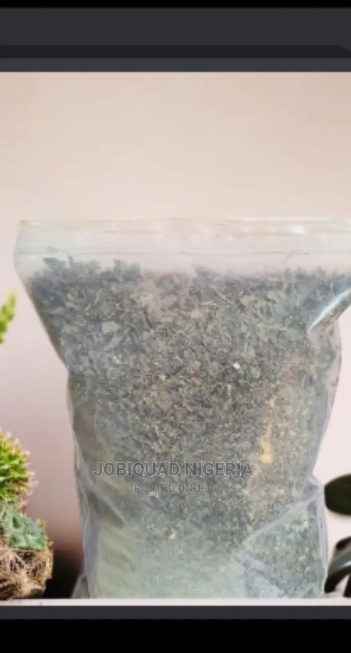 Stinging Nettle Treat Arthritis Lower Back Pain 250g