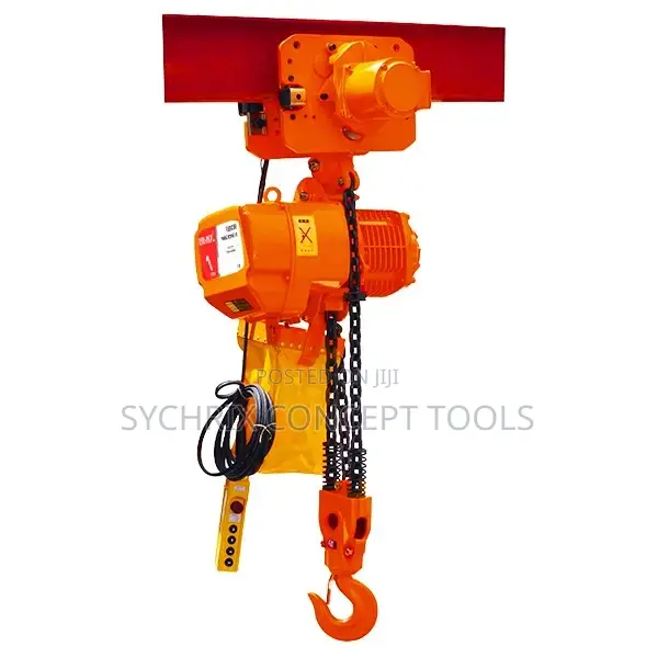 Electric Chain Hoist 2 Ton