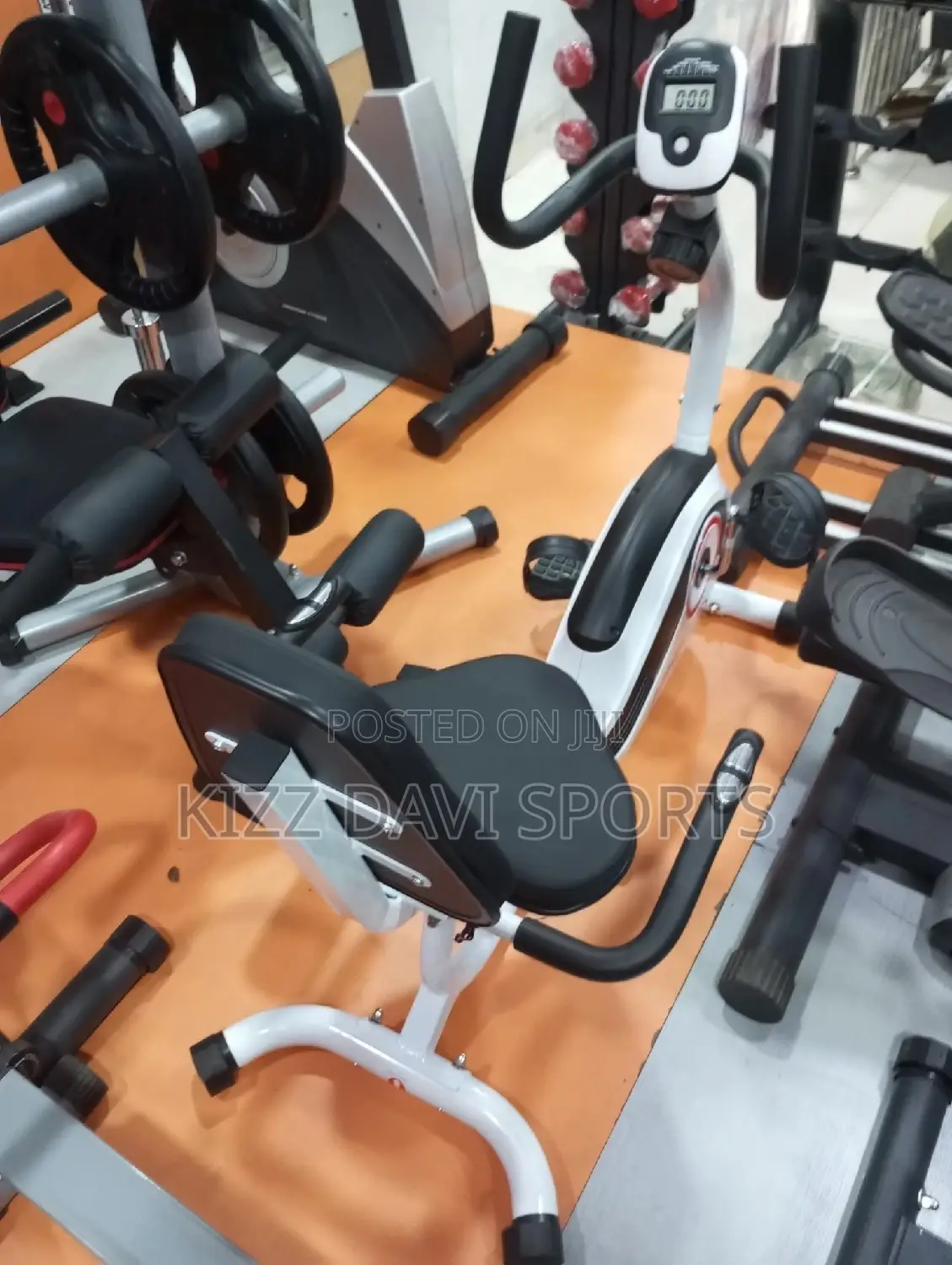 Magnetic Recumbent Bike