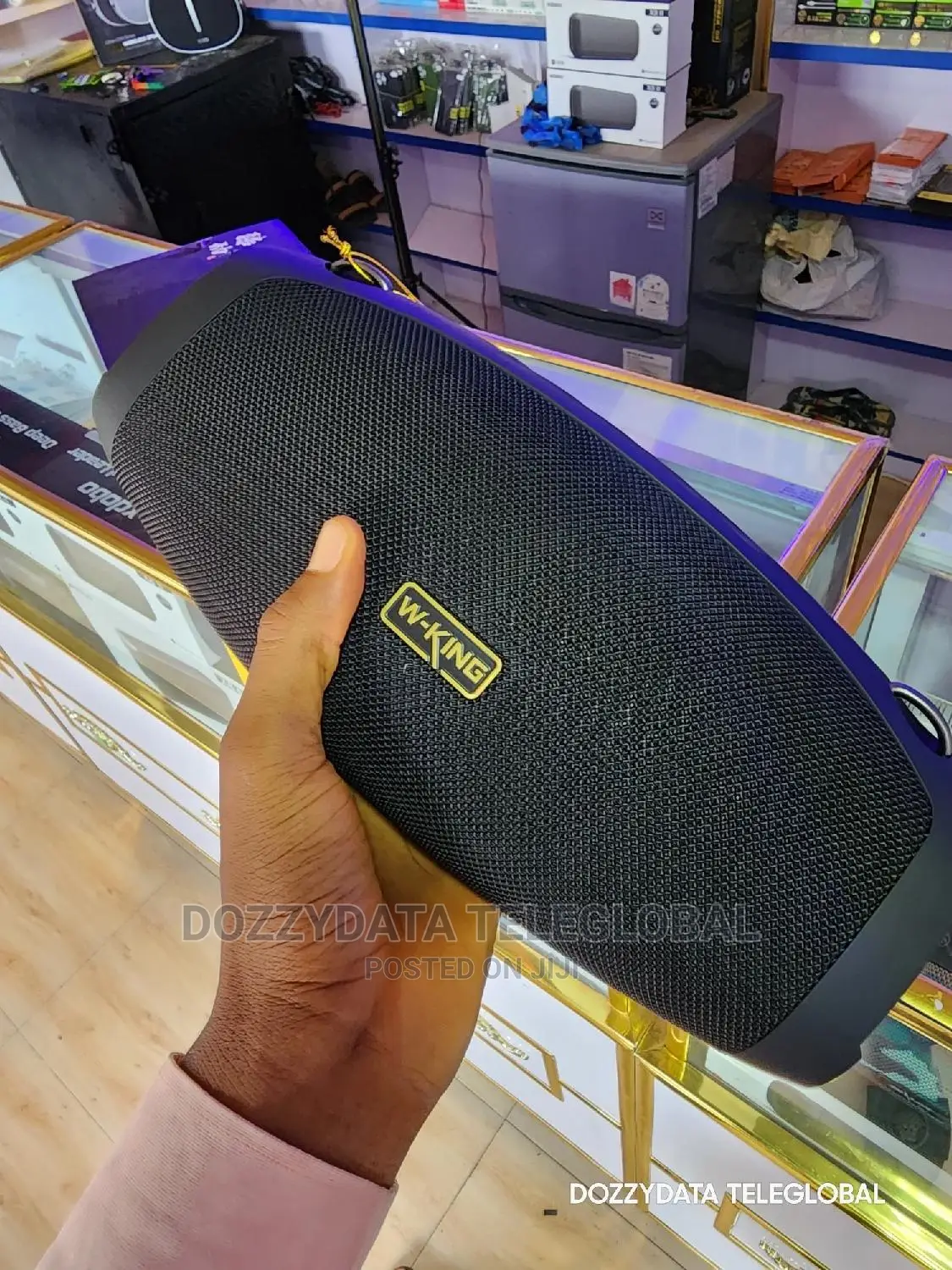 Wking D10 Large Output 60w Bluetooth Speaker With Mic