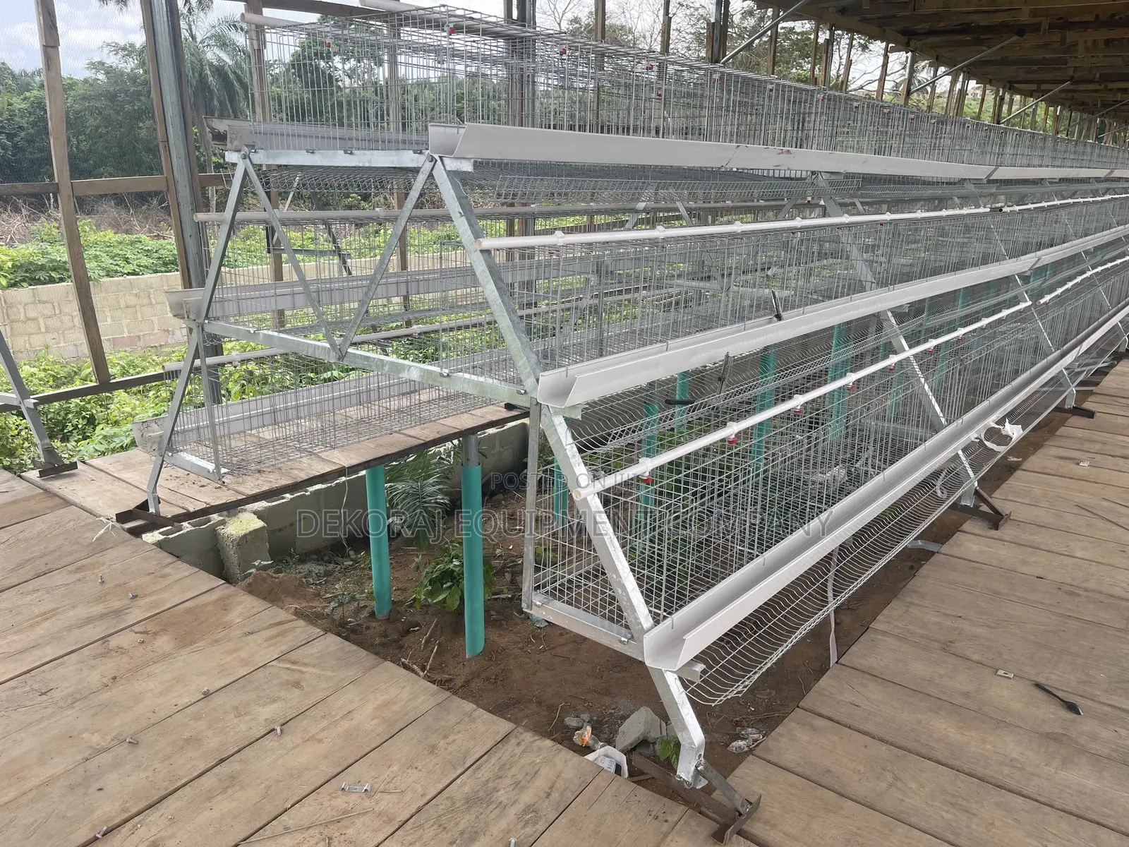 Dekoraj Premium Hot Dip Imported Cage 120capacity For Farmer