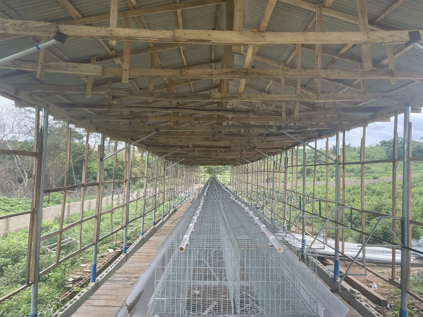 120 Birds Imported Cage Sellers in Nigeria
