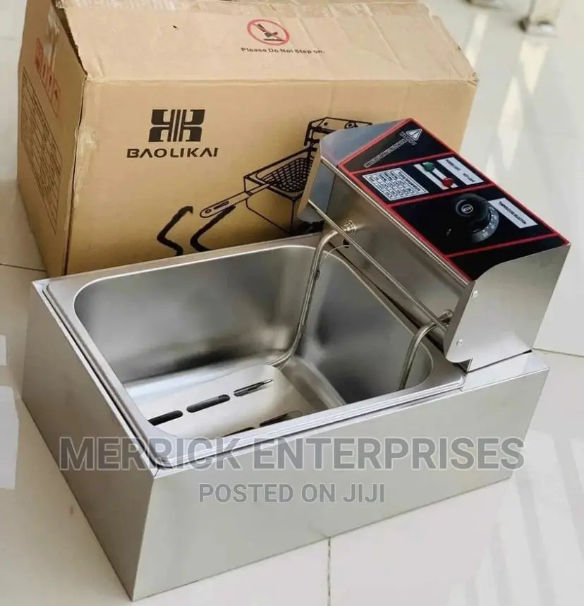 Electric Deep Fryer