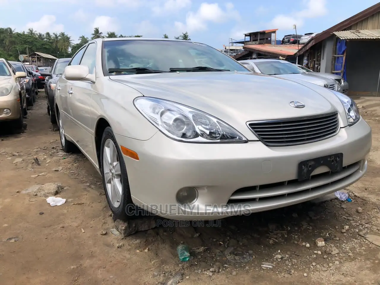 Lexus ES 330 2006 Gold
