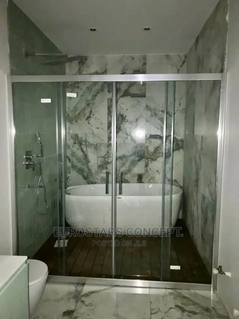 Shower Double Glass Door