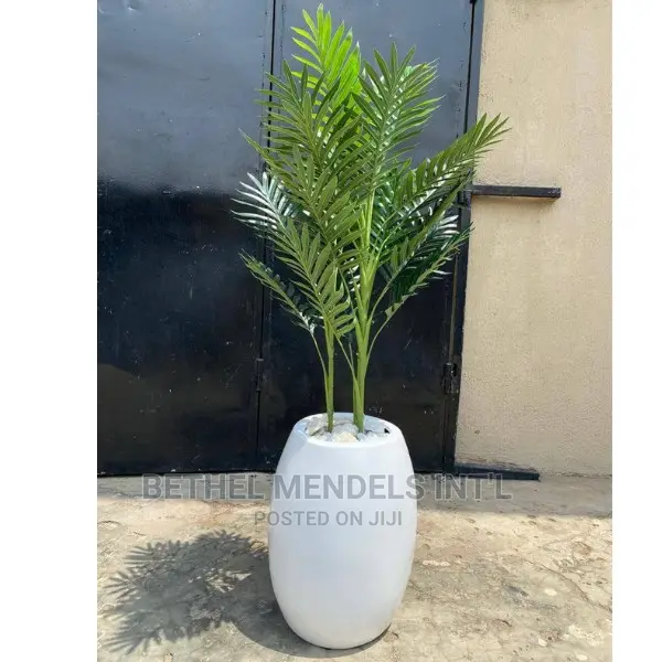 Cheap Fake Palm Plants for Sale at Bethelmendels Ikeja Lagos