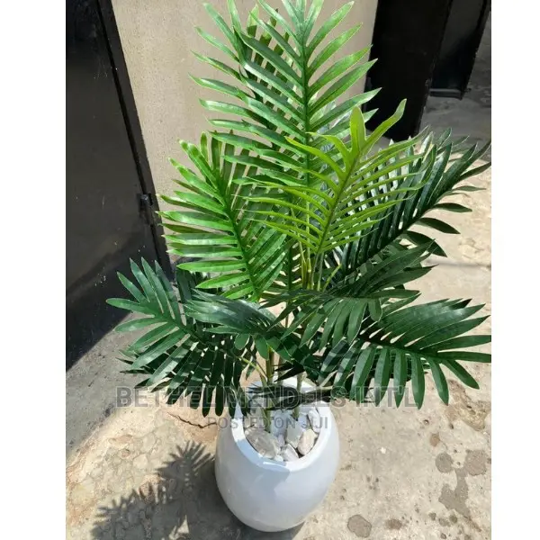 Cheap Fake Palm Plants for Sale at Bethelmendels Ikeja Lagos