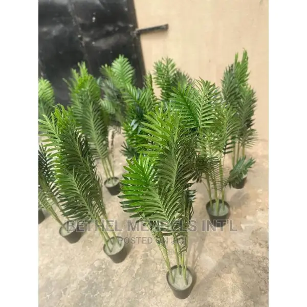 Cheap Fake Palm Plants for Sale at Bethelmendels Ikeja Lagos