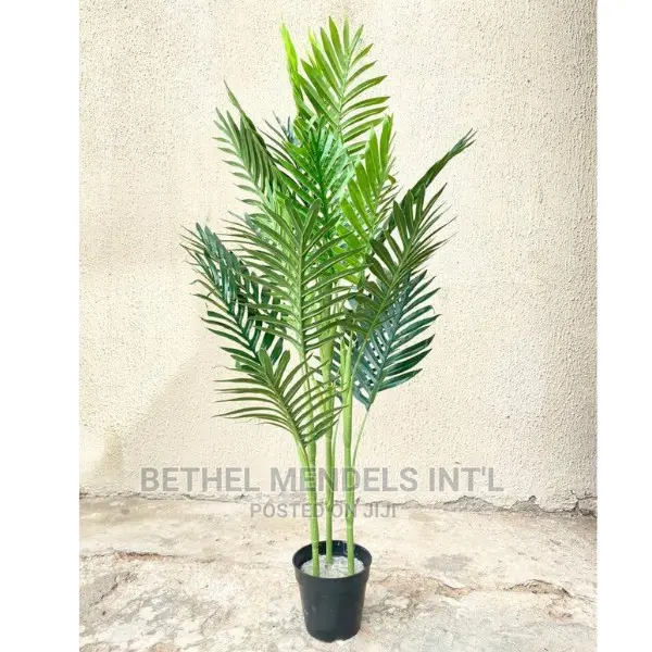 Cheap Fake Palm Plants for Sale at Bethelmendels Ikeja Lagos