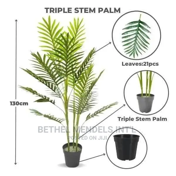 Cheap Fake Palm Plants for Sale at Bethelmendels Ikeja Lagos