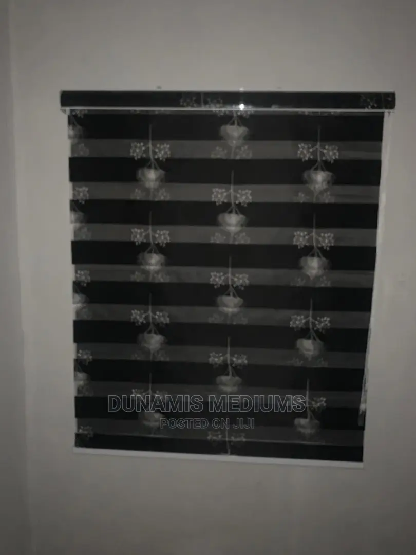 Day and Night Window Blinds